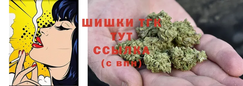 Канабис OG Kush  Иннополис 